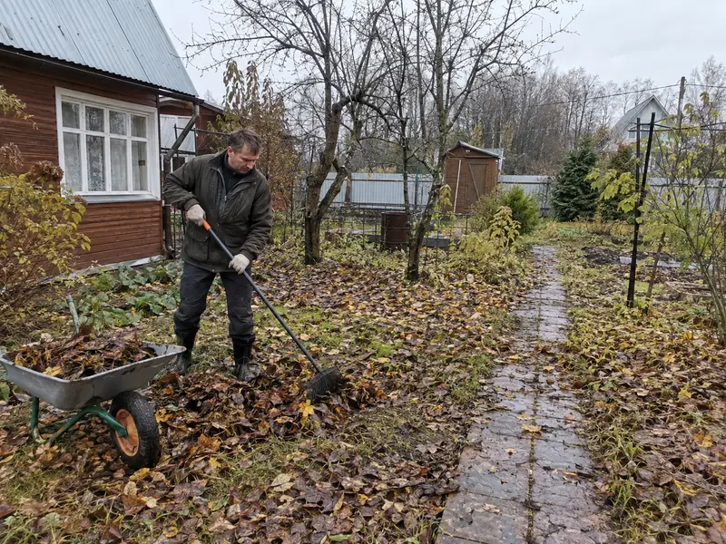 Участок после сезонной уборки до